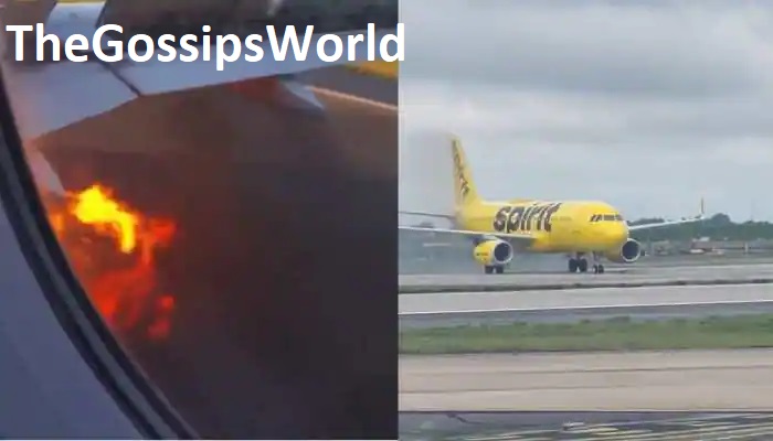 Pictures Spirit Airlines Plane Catches Fire On Landing At Atlanta