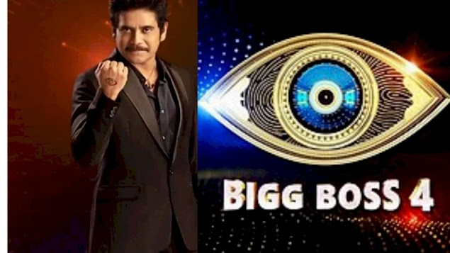 Bigg Boss Telugu 4 Latest Episode Written Update 11th November 2020  Check Spoiler Voting Nominations - 77