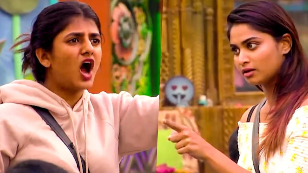 Bigg Boss Telugu 4 Latest Episode Written Update 11th November 2020  Check Spoiler Voting Nominations - 35