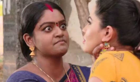 Karthika Deepam                Latest Episode Written Update 10th November 2020  Check Spoiler Alert Twist   Turns - 88