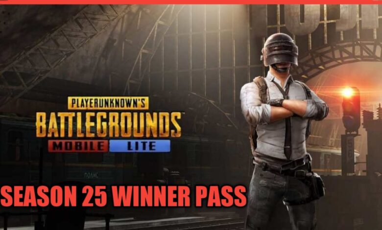 PUBG Mobile Lite Winner Pass Season 25  Check Release Date   Timings Elite Pass Reward - 81