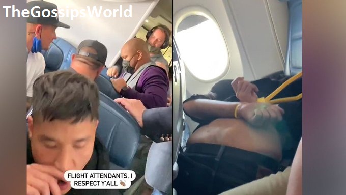 Watch Delta Flight Hijack Latest Viral Video  Delta Flight Attendant Tied With Cuffs in Plane  Details Explained  - 78