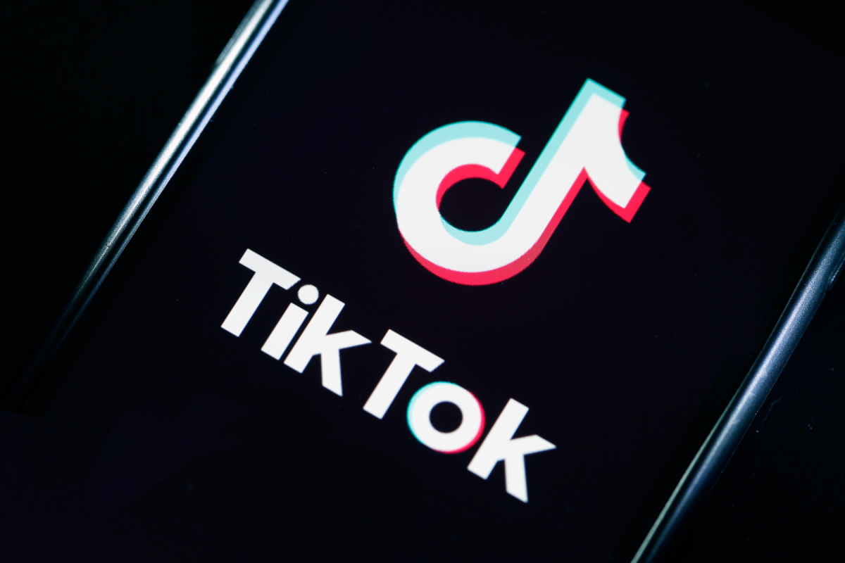 What is a Vent Book Tiktok  Viral TikTok Trend Has Users Confused  Check Details Here  - 30