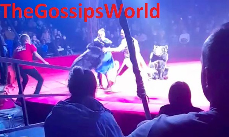 Russia  Bear Attacks Pregnant Woman In Circus Full Video Explained  - 17