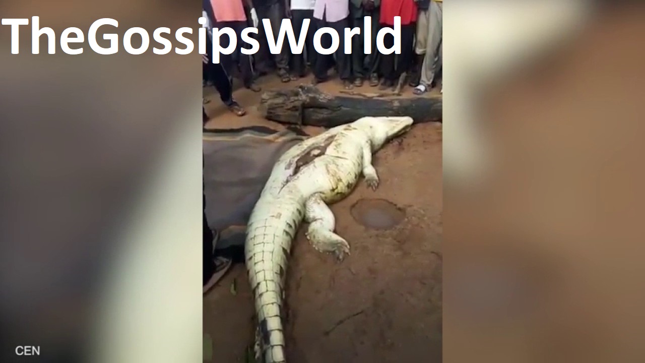 Crocodile Eats 8 Years Old In Indonesia Video Went Viral On The Social Media  - 67