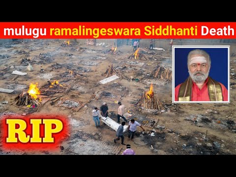 Latest News  Mulugu Ramalingeswara Siddhanti Death Reason  Noted Astrologer Vara Prasad Dead At 83  Funeral  - 99