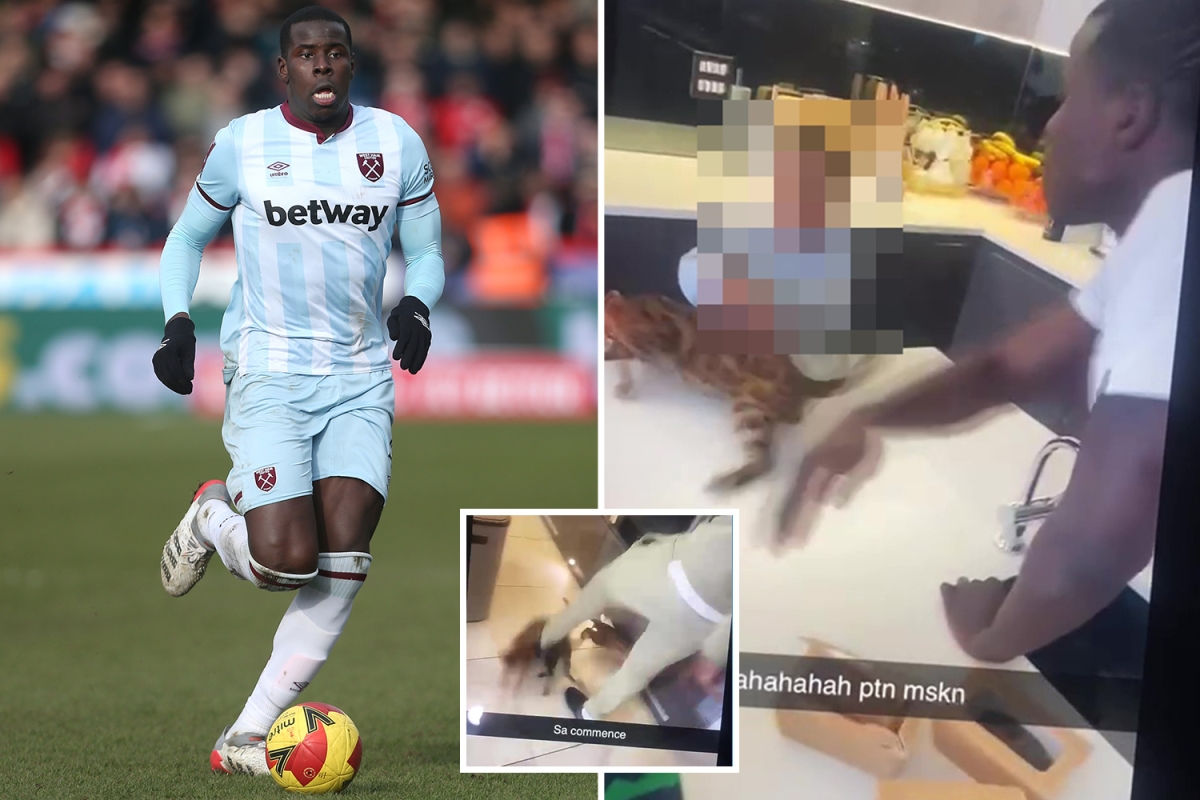 VIDEO  Kurt Zouma Leaked Video Of Kick   Slap His Cat Viral On Twitter   Reddit  West Ham Player Clip Leaves Everyone Scandalized  - 55