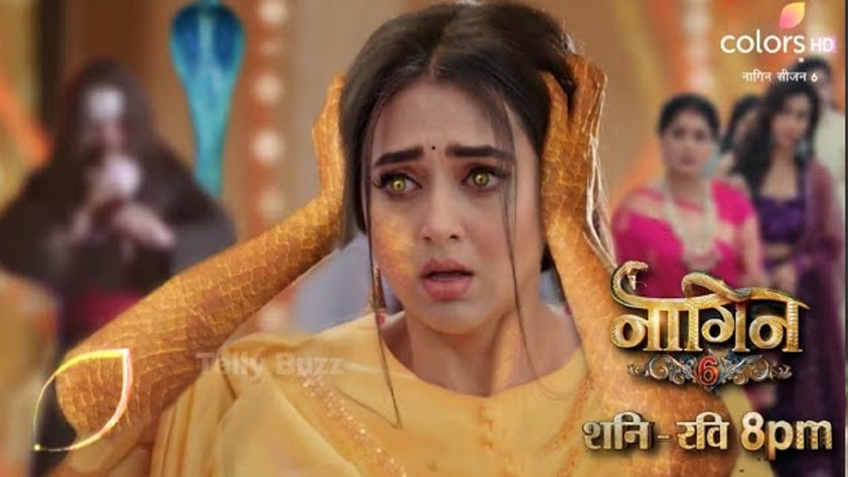 LIVE  Naagin 19th February 2022 Full Episode Today s Written Update  Ritesh Talks To Pratha  - 27