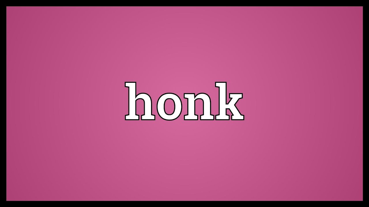 What Is Honk Honk Meaning  Urban Dictionary Definition All Details Explained  - 69