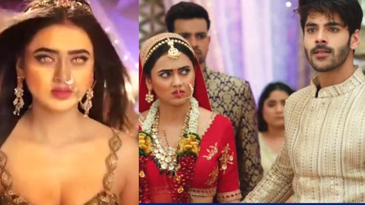 COLORS  Naagin 6 12th March 2022 Full Written Episode Update  Priyanka Plans To Trap Riya  - 12