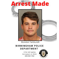 Brandon Tamburelli Arrested  Why Was Brandon Tamburelli Arrested  All Charges   Allegations Explained  - 53