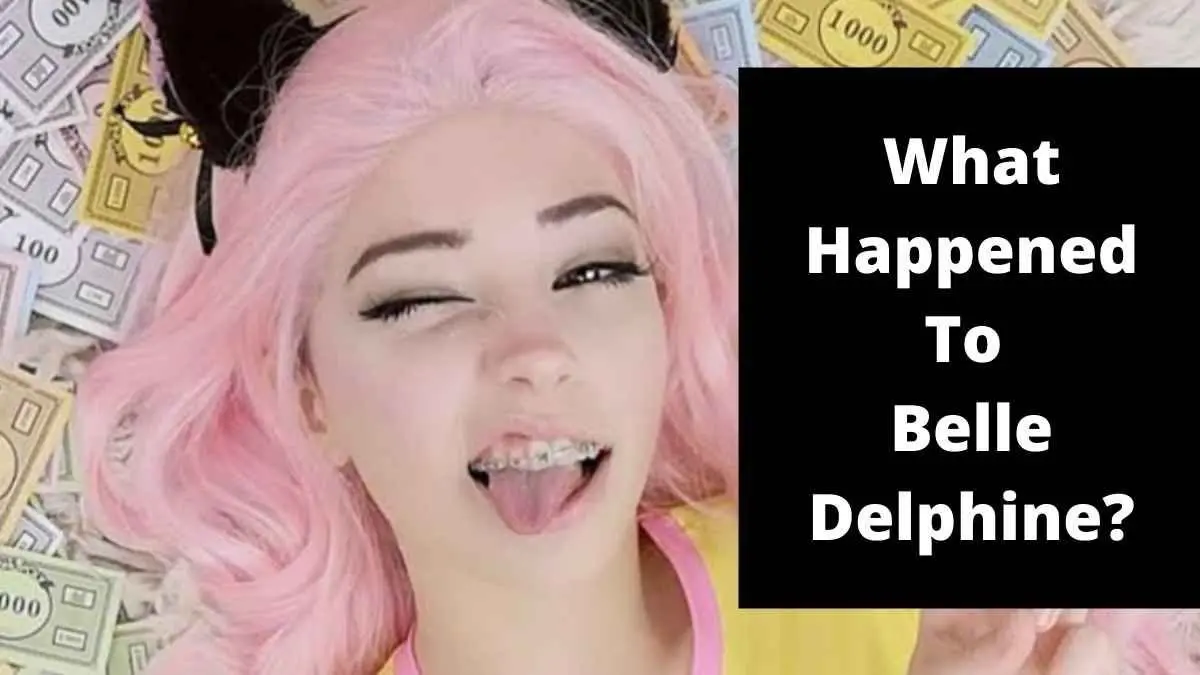 Why Did Belle Delphine Absent From Twitter? 