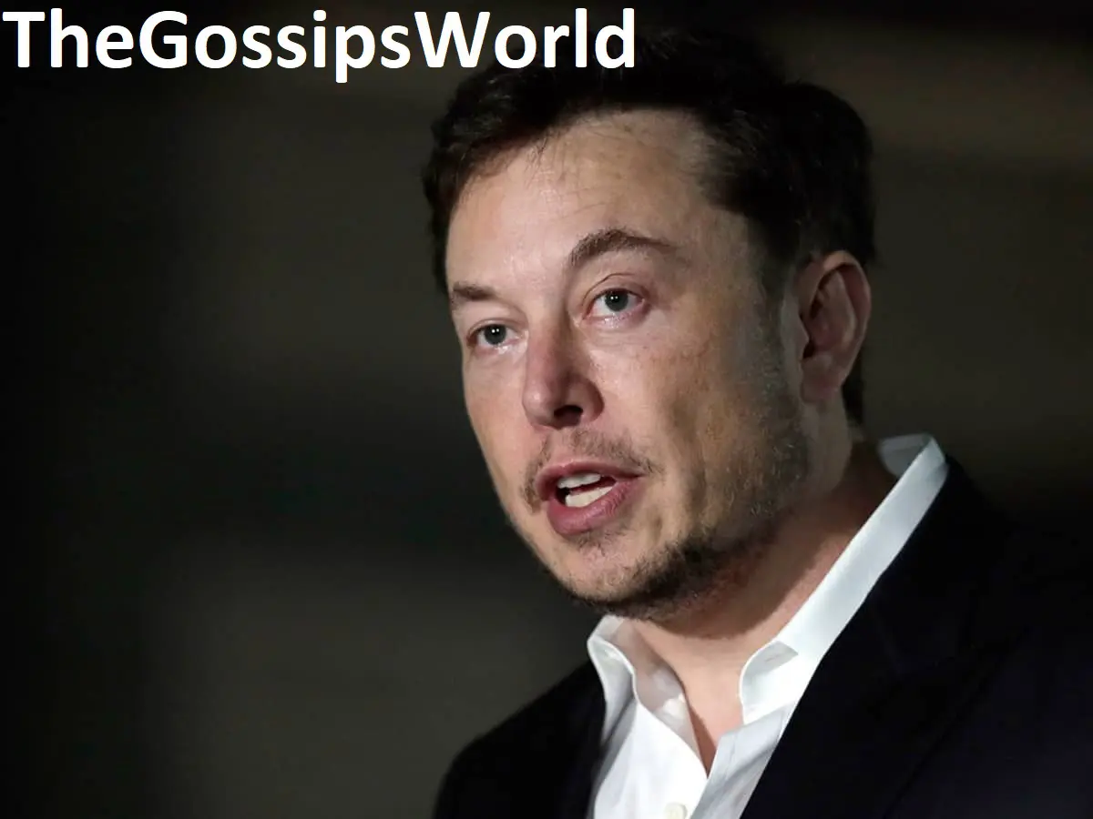 Elon Musk Sex Scandal