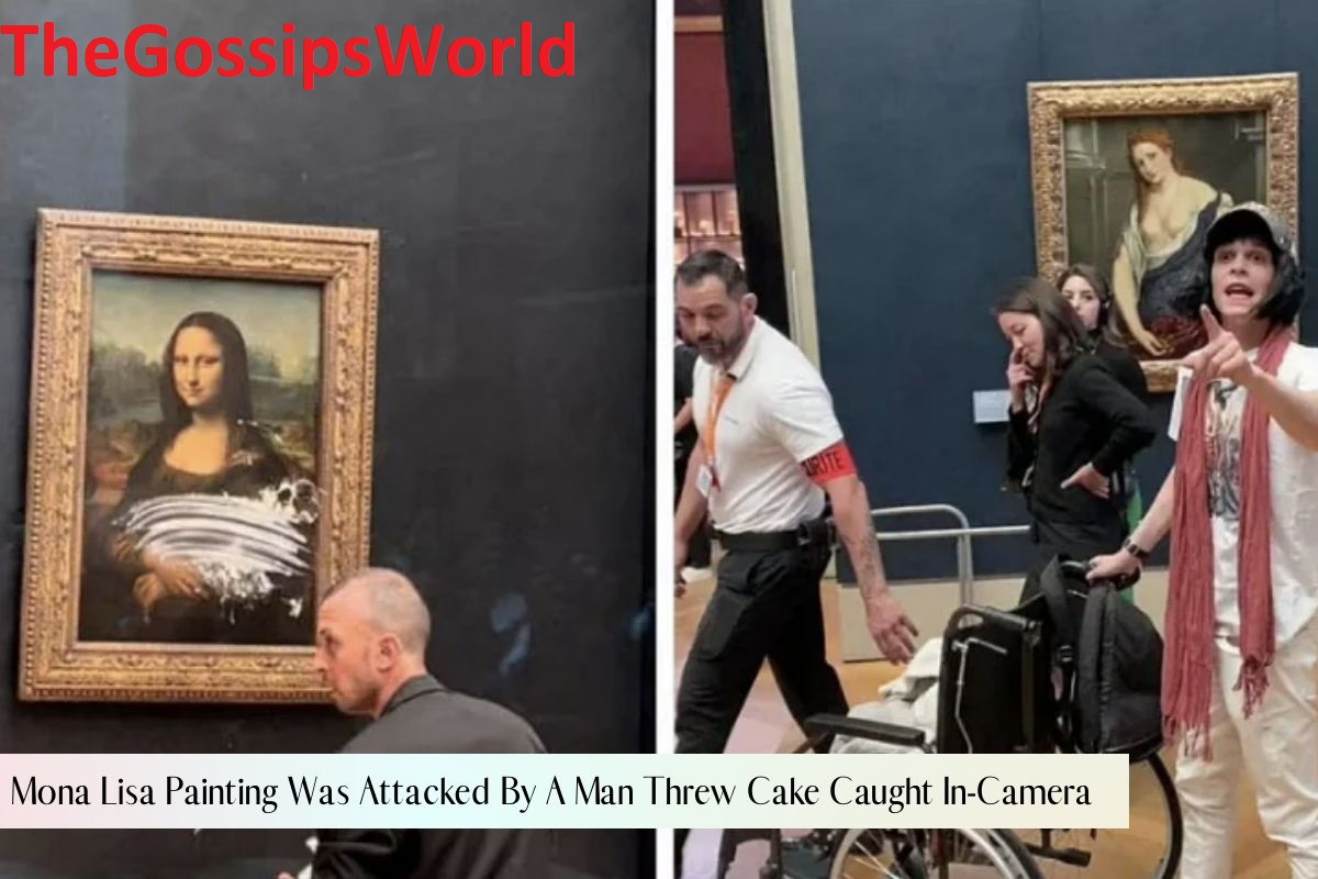 VIDEO  Mona Lisa Attacked With Cake At Da Vinci Painting Video Went Viral On Twitter  Reddit  Instagram   YouTube  - 34