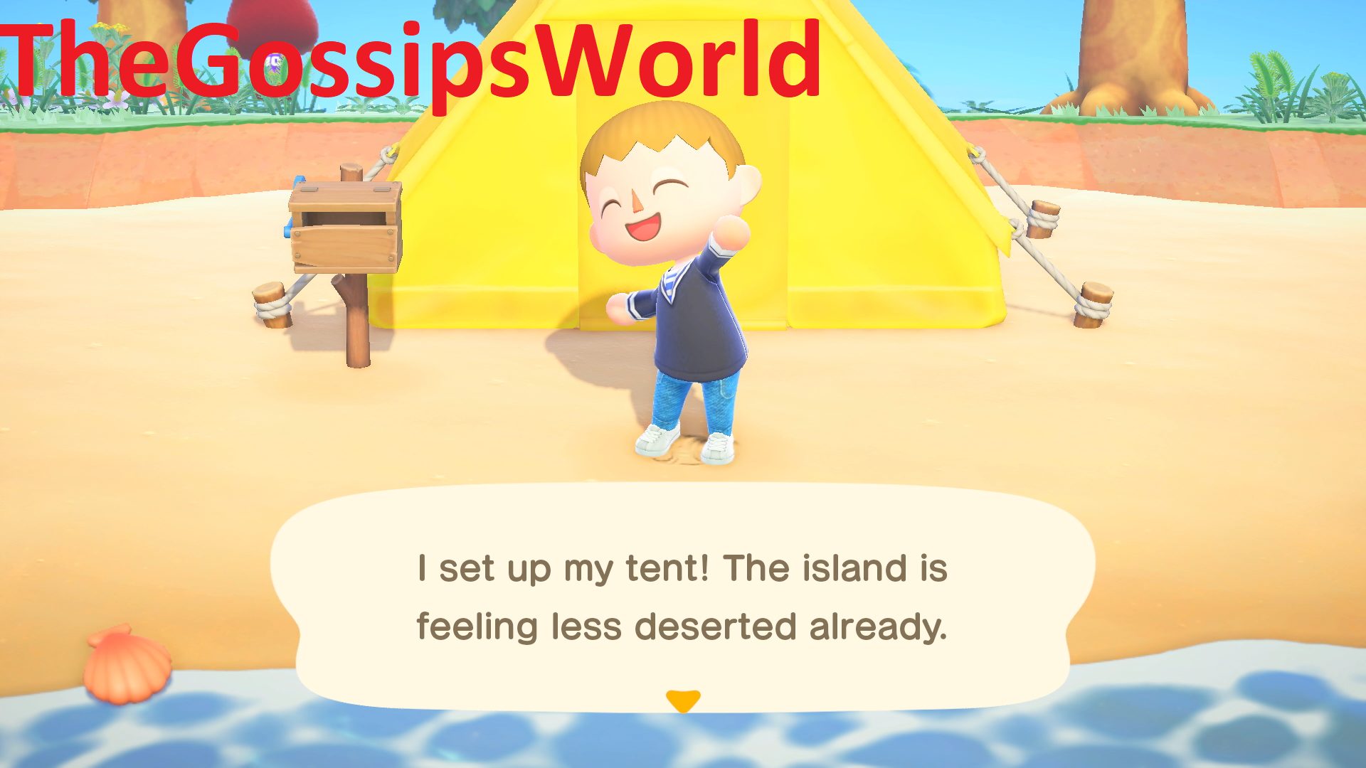 Animal Crossing  How Many Islands Can You Own Per Switch In Animal Crossing  New Horizons  All Details Explained  - 14