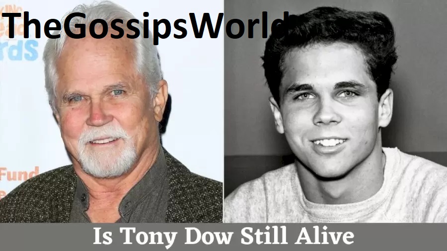 What Was TONY DOW Cause Of Death   Leave It To Beaver  Actor Dead At 77  Funeral   Obituary News  - 92