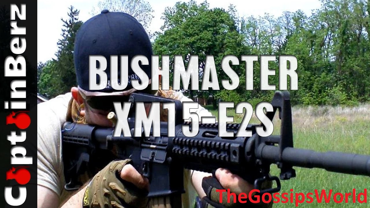 What Is The Bushmaster XM-15?