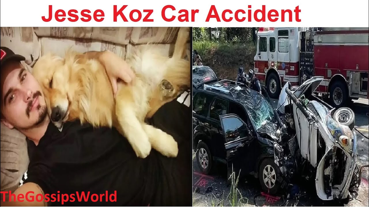 Who Was Jesse Koz   Cause Of Death  Brazilian Man   His Dog Dead In An Accident  Video CCTV Footage  Family   Obituary  - 64