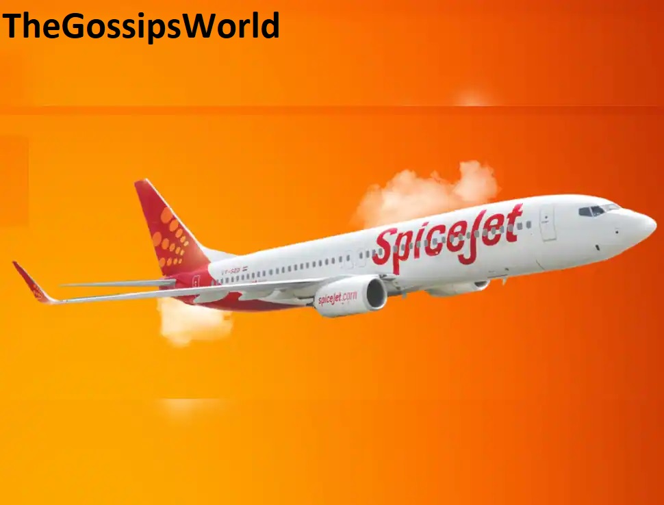 WATCH  Delhi Bound SpiceJet Flight From Patna Catches Fire After Hit By Bird Video Viral On Social Media  - 69