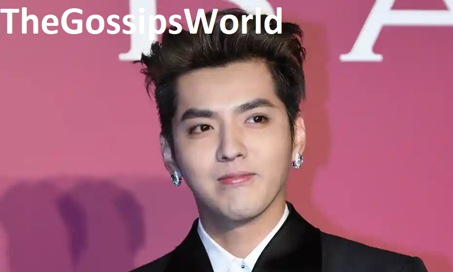 DETAILS  What Happened With Kris Wu  Chinese Canadian Pop Star Kris Wu Faces Rape Charge In Court  Reason  - 67