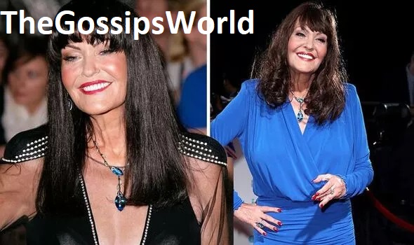 HILARY DEVEY ILLNESS  What Illness Does Hilary Devey Have  Former Dragons Den Star Dead At 65  - 41