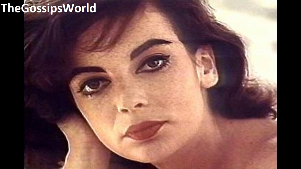 Who Was Karyn Kupcinet   Cause Of Death  Famous American Actress Killed In A Homicide At 22  Funeral   Obituary  - 96