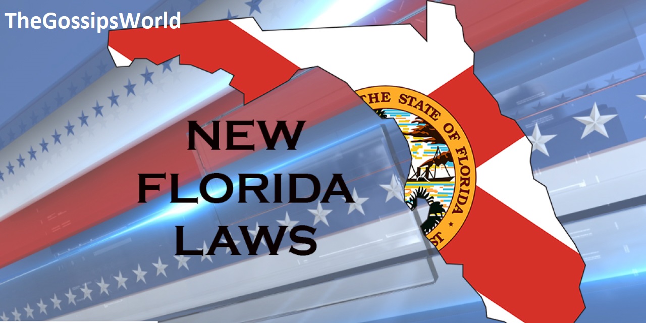 What Is Florida’s New Law? All About Florida New Law 2022 Meaning, Effect On, Impact On People & More!
