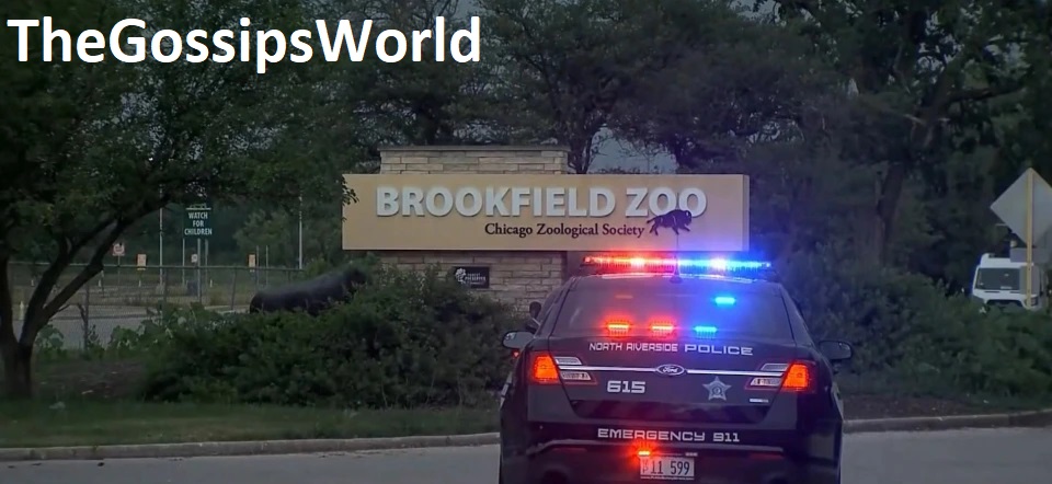 DETAILS  What Happened In Brookfield Zoo  Why Is Brookfield Zoo On Lockdown  Reason Explained  - 70