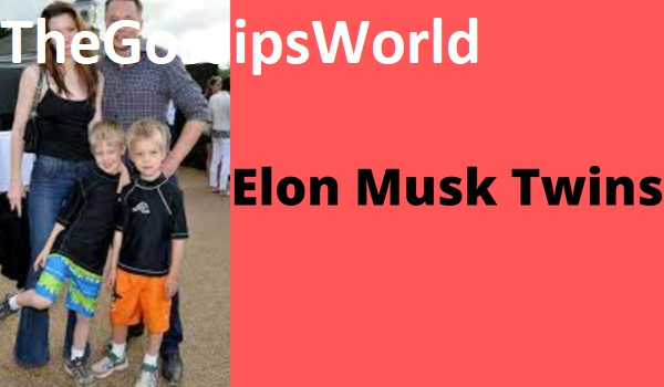 DETAILS  Who Is Shivon Zilis  Is Elon Musk Secretly Had Twins With Neuralink Top Executive  Reason Explained  - 54