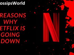 Why Did Netflix Gets Downfall In June 2022?