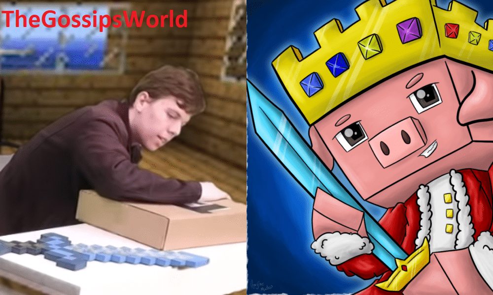 DETAILS  Who Was Minecraft YouTuber TechnoBlade  All About His Age  Net Worth  Career  When He Started YouTube   More  - 70