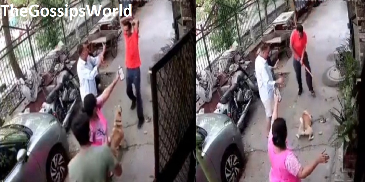 WATCH  Delhi based Dharmveer Singh Hits A Dog   Its Owner Badly Video Went Viral On Social Media  YouTube   Twitter  - 93