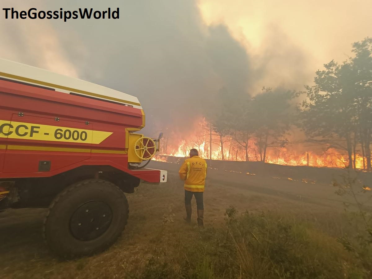 WATCH  GIRONA FOREST FIRES Broke Out In The Medoc In LA Teste And In Landrias Video Went Viral On The Internet  - 29