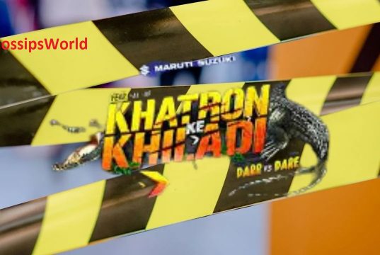 Khatron Ke Khiladi Season 12: Winner Name Revealed