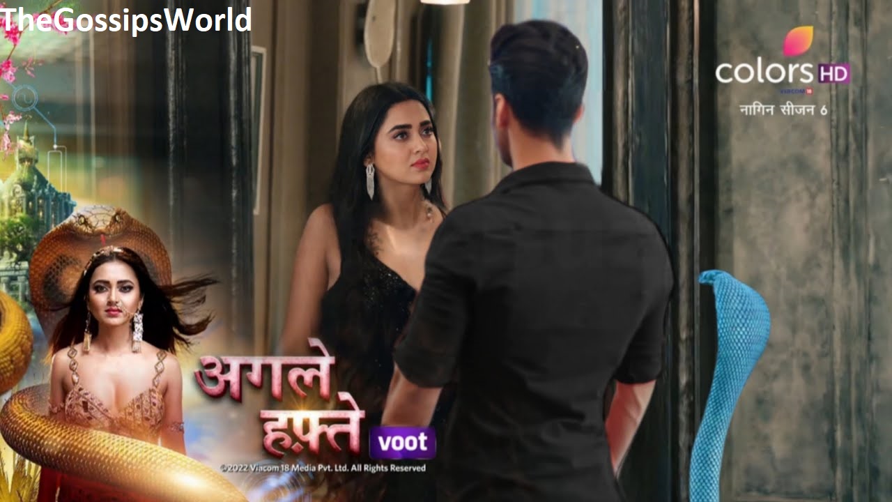 WATCH  NAAGIN 6  3rd July 2022 Full Written Episode Update  Rishabh Teaching Kiara  Highlights  Spoiler Alert  - 43